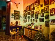 coco in cuba house of ana I