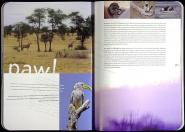 designers digest page 5