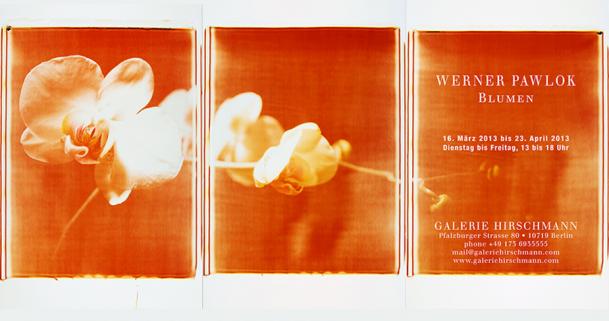 pawlok blumen invitation