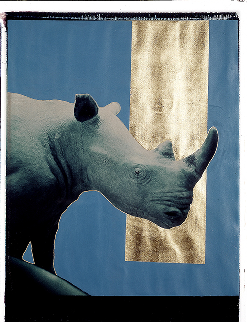 Nashorn I Polaroid 50x60; Werner Pawlok; Polaroid Fotografie; Crying Animals; Nashorn I; Nashorn I Polaroid 50x60; Werner Pawlok; Polaroid Fotografie; Crying Animals; Nashorn I;