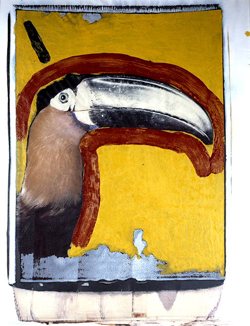 Toucan I Polaroid 50x60; Werner Pawlok; Polaroid Fotografie; Crying Animals; Toucan I;