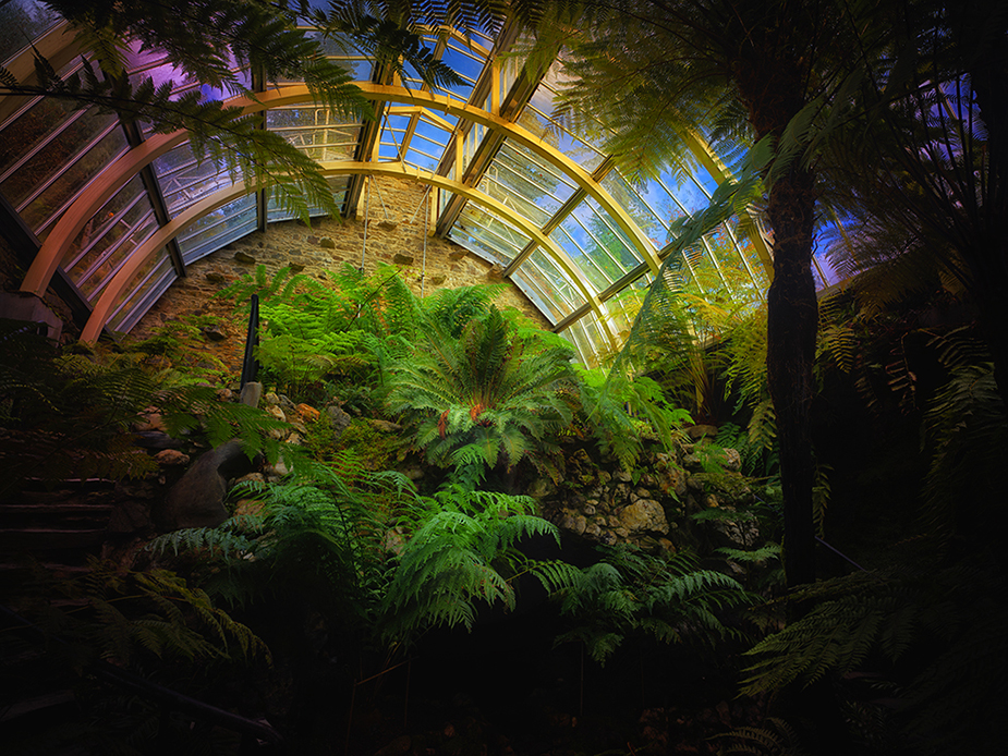 Benmore I Greenhouses, Cathedrals for Plants, Werner Pawlok