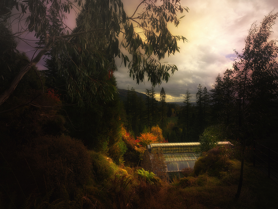 Benmore IX Greenhouses, Cathedrals for Plants, Werner Pawlok