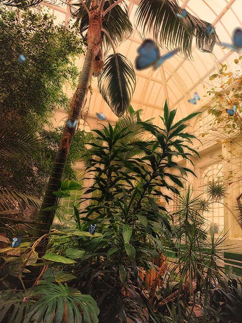 Butterfly House Lancaster I Greenhouses, Cathedrals for Plants, Werner Pawlok Butterfly House Lancaster I Greenhouses, Cathedrals for Plants, Werner Pawlok