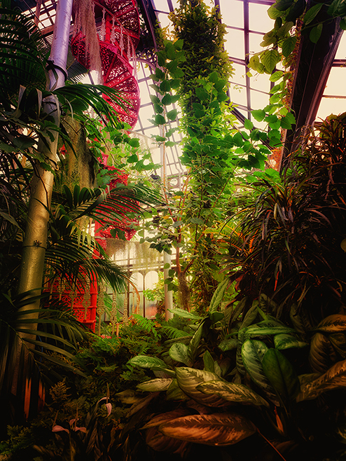 Glasgow Palmhouse I Greenhouses, Cathedrals for Plants, Werner Pawlok