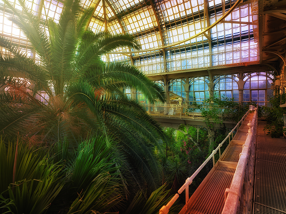 Großes Palmenhaus Schönbrunn V  Greenhouses, Cathedrals for Plants, Werner Pawlok