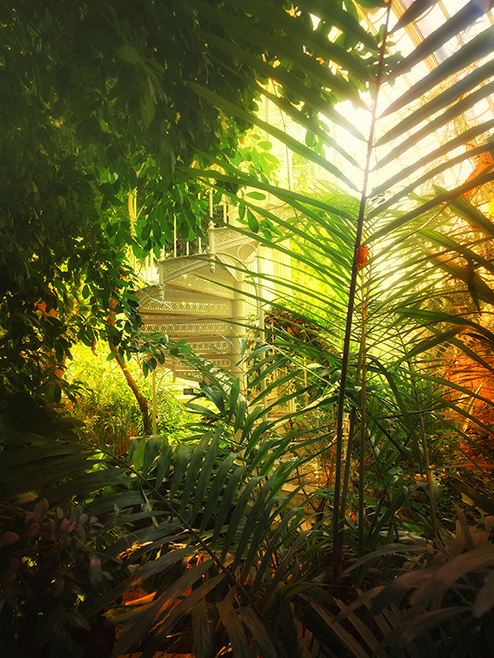 Großes Palmenhaus Schönbrunn XVII Greenhouses, Cathedrals for Plants, Werner Pawlok