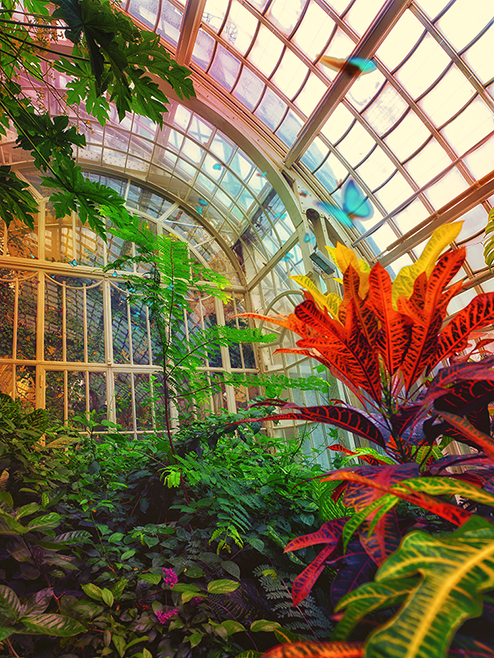 Hofgarten Wien Schmetterlinghaus IV  Greenhouses, Cathedrals for Plants, Werner Pawlok