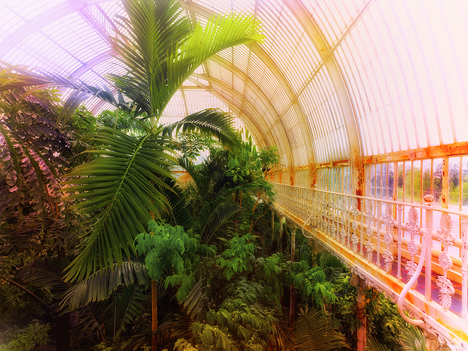 Kew Garden I  Greenhouses, Cathedrals for Plants, Werner Pawlok