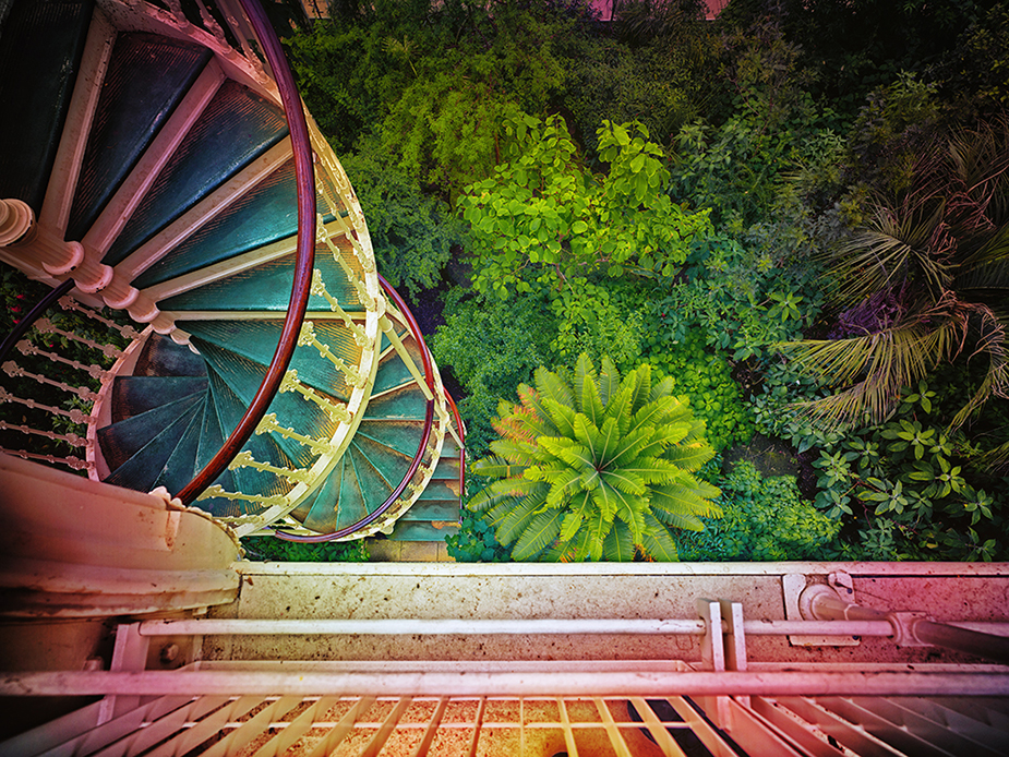 Kew Garden XII  Greenhouses, Cathedrals for Plants, Werner Pawlok