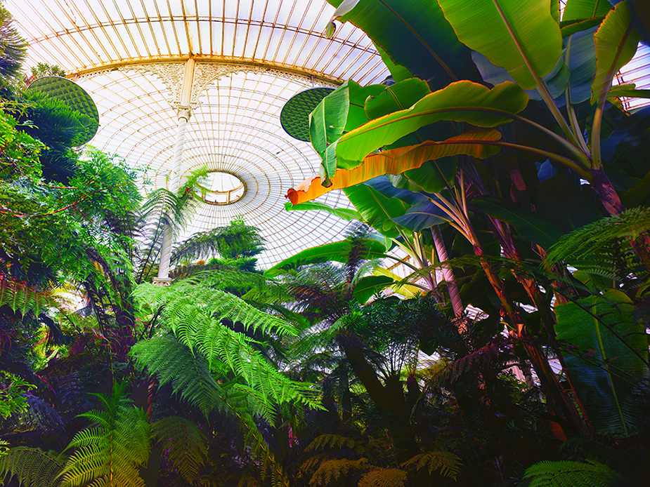 Kibble Palace Glasgow VII  Greenhouses, Cathedrals for Plants, Werner Pawlok