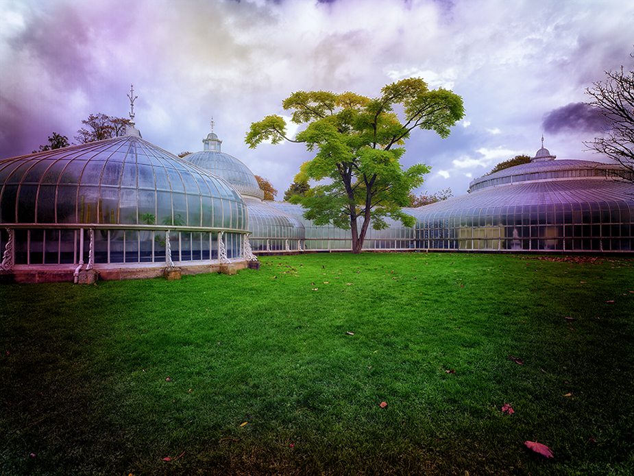 Kibble Palace Glasgow X  Greenhouses, Cathedrals for Plants, Werner Pawlok