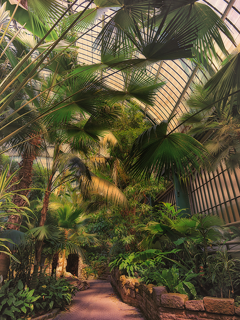 Palmengarten Frankfurt VI  Greenhouses, Cathedrals for Plants, Werner Pawlok