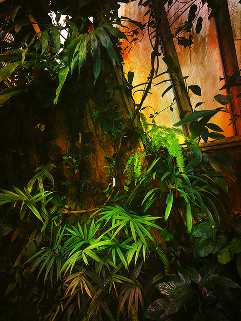 Prag Fata Morgana IX Greenhouses, Cathedrals for Plants, Werner Pawlok Prag Fata Morgana IX Greenhouses, Cathedrals for Plants, Werner Pawlok