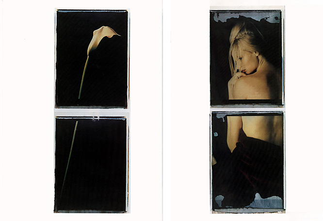 Photographie page 2 Photographie, Werner Pawlok, Photography Paintings, Polaroid 50x60, Polaroid Photography,