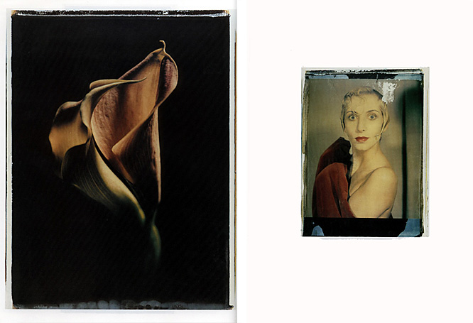 Photographie page 3 Photographie, Werner Pawlok, Photography Paintings, Polaroid 50x60, Polaroid Photography, Photographie page 3 Photographie, Werner Pawlok, Photography Paintings, Polaroid 50x60, Polaroid Photography,