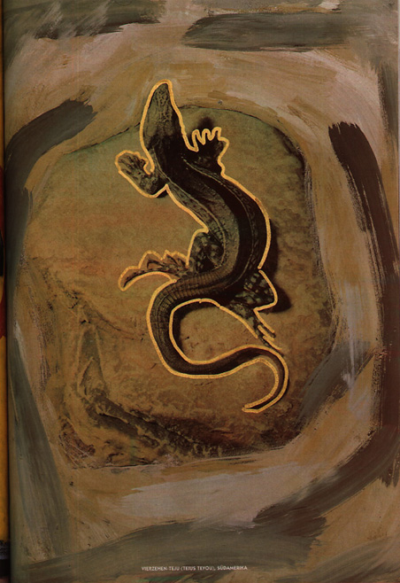 MAX page 5 Max, Werner Pawlok, Crying Animals, Transfers, Polaroid 50x60, Polaroid Photography,