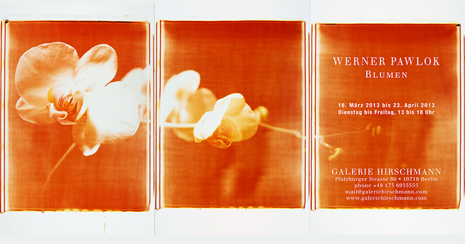 pawlok blumen invitation Werner Pawlok; Blumen; Galerie Hirschmann pawlok blumen invitation Werner Pawlok; Blumen; Galerie Hirschmann