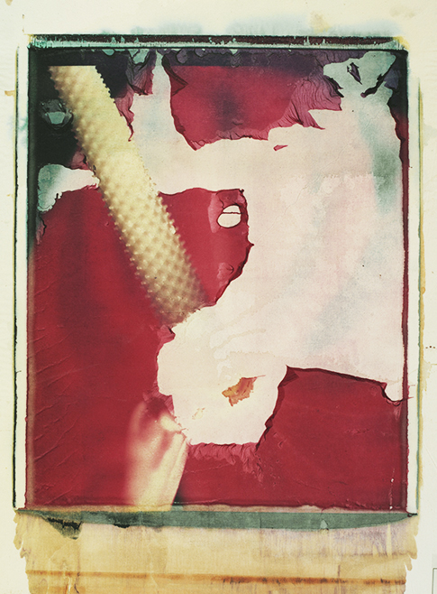 Anturie V Anturie V; Polaroid 50x60; Polaroid Transfers; Photo by Werner Pawlok; Unikat; Anturie V Anturie V; Polaroid 50x60; Polaroid Transfers; Photo by Werner Pawlok; Unikat;