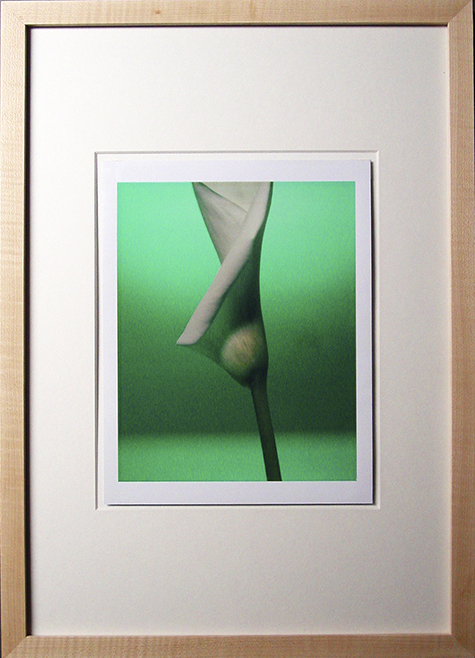 Blumen XI Blumenserie Blumen XI Blumenserie; Polaroid 50x60; Polaroid Transfers; Photo by Werner Pawlok; Unikat; Blumen XI Blumenserie Blumen XI Blumenserie; Polaroid 50x60; Polaroid Transfers; Photo by Werner Pawlok; Unikat;