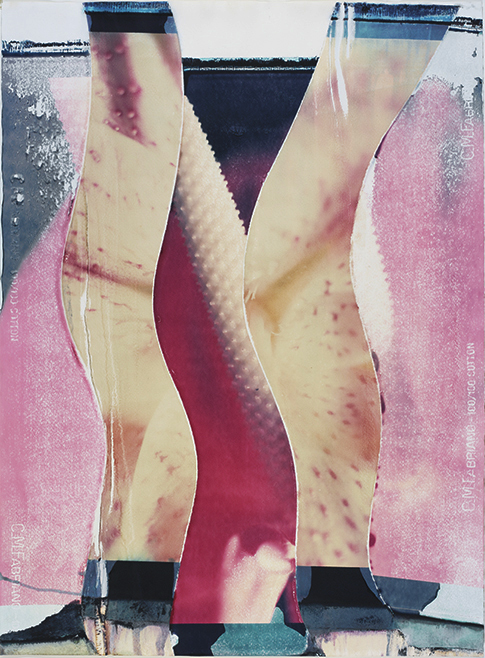 Collage I Collage I; Polaroid 50x60; Polaroid Transfers; Photo by Werner Pawlok; Unikat; Collage I Collage I; Polaroid 50x60; Polaroid Transfers; Photo by Werner Pawlok; Unikat;