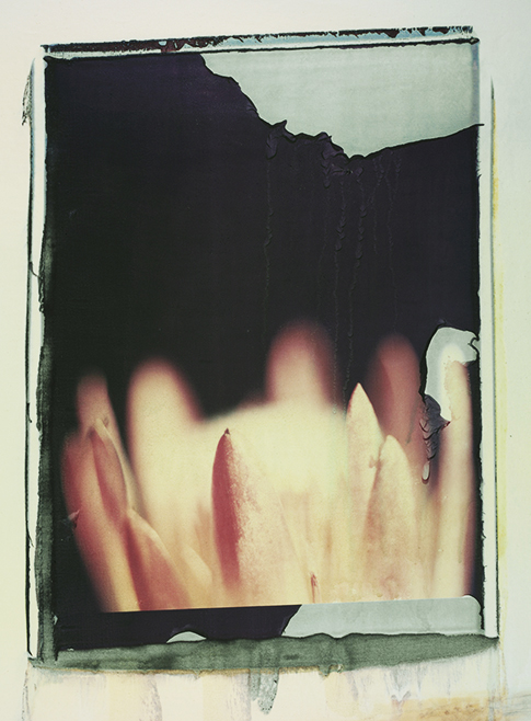 Feuer Feuer; Polaroid 50x60; Polaroid Transfers; Photo by Werner Pawlok; Unikat; 