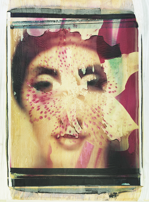 Girardi Collage Girardi Collage; Polaroid 50x60; Polaroid Transfers; Photo by Werner Pawlok; Unikat; Girardi Collage Girardi Collage; Polaroid 50x60; Polaroid Transfers; Photo by Werner Pawlok; Unikat;