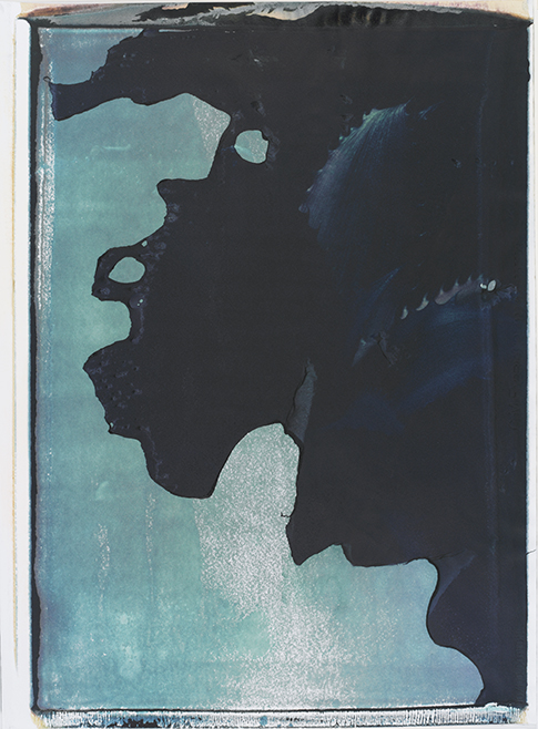 Kaktus III Kaktus III; Polaroid 50x60; Polaroid Transfers; Photo by Werner Pawlok; Unikat; Kaktus III Kaktus III; Polaroid 50x60; Polaroid Transfers; Photo by Werner Pawlok; Unikat;