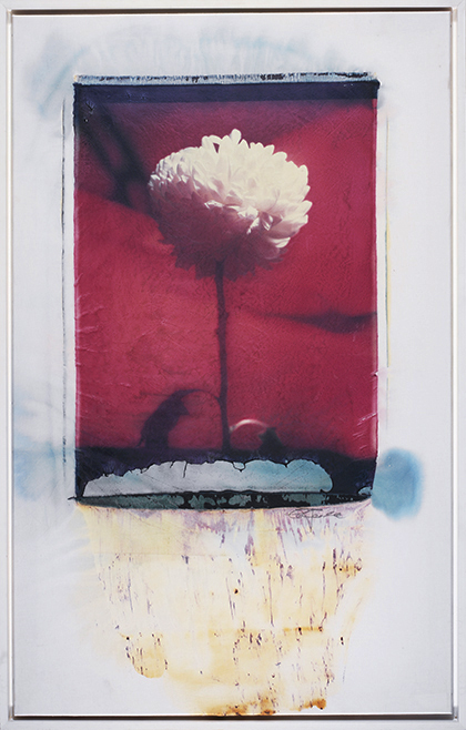 Red Red; Polaroid 50x60; Polaroid Transfers; Photo by Werner Pawlok; Unikat; Red Red; Polaroid 50x60; Polaroid Transfers; Photo by Werner Pawlok; Unikat;