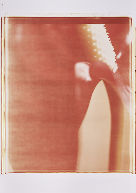 0858 Anturie IX Monochrome, Polaroid, Werner Pawlok