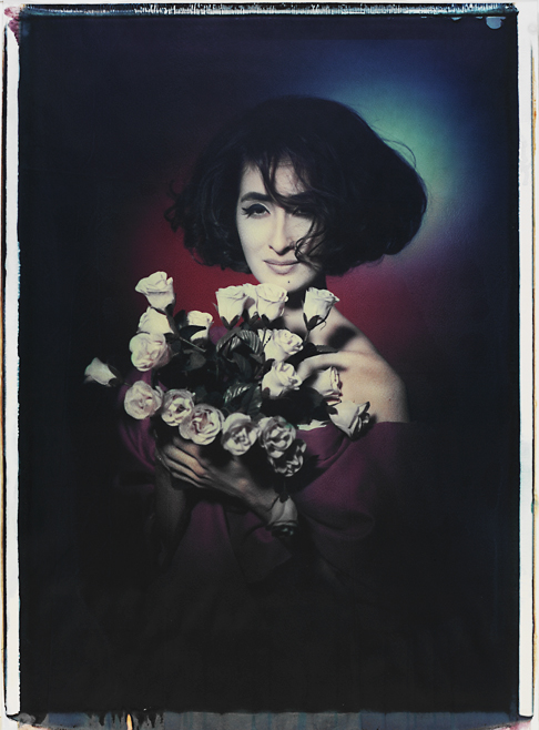 Girardi Portrait mit Rosen II Girardi Portrait mit Rosen II; Transfers; Photo by Werner Pawlok; Polaroid 50x60; Polaroid 20x24"; Girardi Portrait mit Rosen II Girardi Portrait mit Rosen II; Transfers; Photo by Werner Pawlok; Polaroid 50x60; Polaroid 20x24";