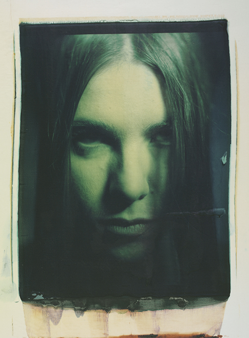 Green Portrait Green Portrait; Photo by Werner Pawlok; Polaroid 50x60; Polaroid 20x24"; Transfers;