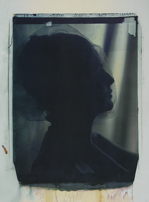 The dream The dream; Photo by Werner Pawlok; Polaroid 50x60; Polaroid 20x24"; Transfers; The dream The dream; Photo by Werner Pawlok; Polaroid 50x60; Polaroid 20x24"; Transfers;